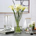 Creative geometry glass vase transparent flower arrangement